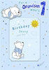 Cute Disney Winnie the Pooh Design Grandson 1st Birthday Card with Keepsake Booklet