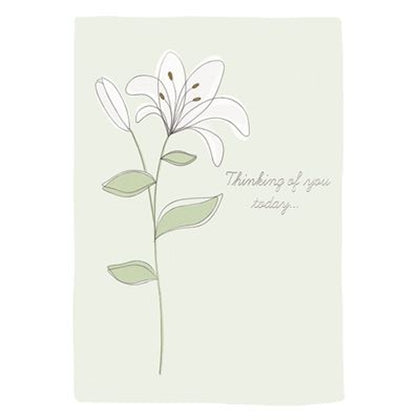 Single Lily Stem Thinking Of You Sympathy Card