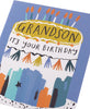 Bright Cake Design Grandson Birthday Card