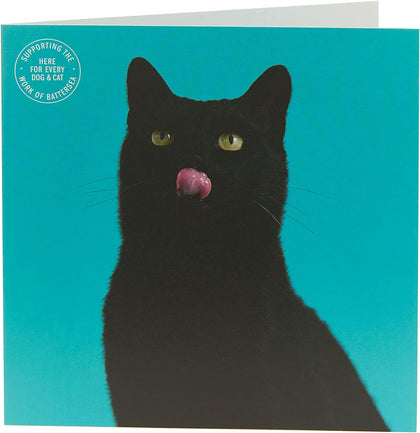 Cat Design Battersea Blank Birthday Card