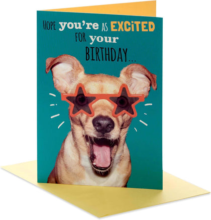 Funny Dog In Sunglasses Birthday Card