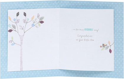 Sweet Giraffe Design New Baby Boy Congratulations Card 