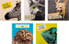 Multipack of 10 in 5 Photographic Designs Funny Birthday Cards