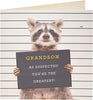 Cute Raccoon Design Grandson Birthday Card