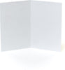 Funny Blank Birthday Card