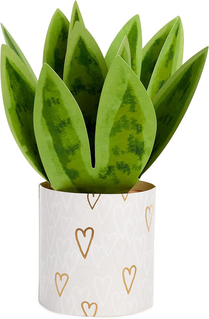 3D Paper Snake Plant Design Paper Wonder Valentine's Day Card