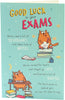 Funny Good Luck in Your Exam Card