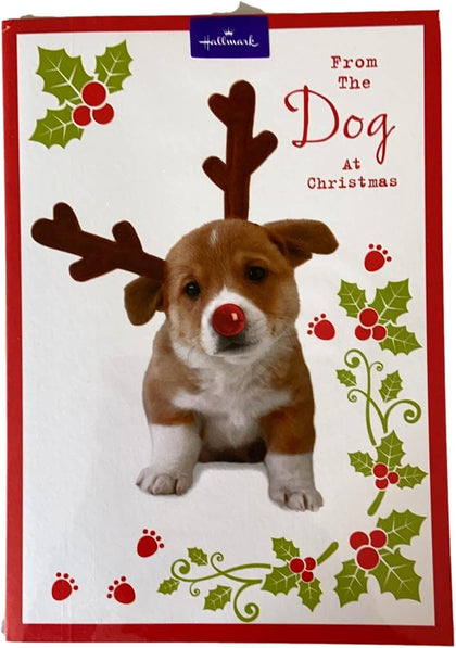 6 x Cards from The Dog at Christmas Card