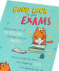 Funny Good Luck in Your Exam Card