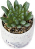 Me to You Tatty Teddy Artificial Succulent in Moon and Stars Plant Pot