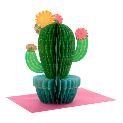 3D & Pop-Up Honeycomb Cactus Design Any Occasion Card