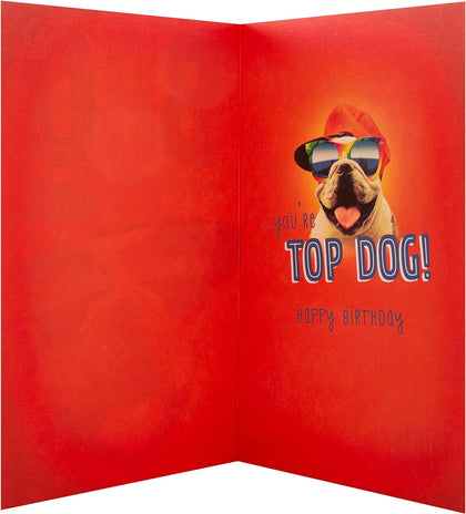 Funny Mad as Cheese Top Dog Design Brother Birthday Card