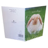 Bunny Hoppy Easter Pack Of 5 Cards