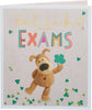 Boofle Good Luck In Your Exams Card