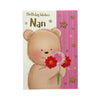 To Nan Teddy with Pink and Red Flowers Design Birthday Card