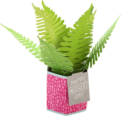 Pop Up Plant 'Paper Wonder' Design Mother's Day Card