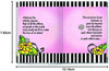 Sisters... Connected by an Unbreakable Bond” Little Keepsake Book