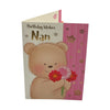 To Nan Teddy with Pink and Red Flowers Design Birthday Card