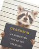 Cute Raccoon Design Grandson Birthday Card