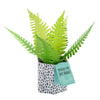 Fern Design Pop-up Plant Card