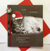 My Girlfriend Cute Kitten And Puppy Christmas Card