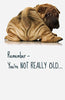 Remember Dog Humour Birthday Card