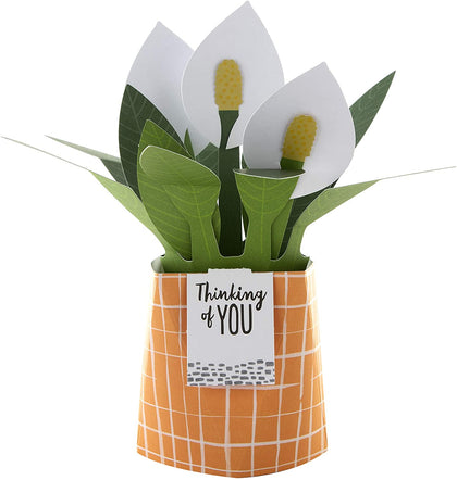 Contemporary Peace Lily Plant Design Pop Up Card