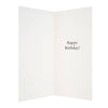 Happy Birthday Humour Funny Card 'Trouble'