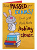 You've Passed Your Exams Rabbit on books Humour Greeting Card