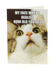 Funny Humorous Cat Birthday Card Meme How Old?