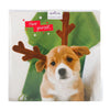 Christmas Charity Card Pack "Dog Antlers" Pack of 10