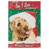 For the One I Love at Christmas, Christmas Greetings Card