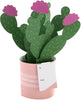 Contemporary Cactus Design Pop Up Card