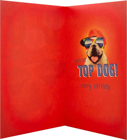 For Cool Bro Top Dog Design Birthday Card