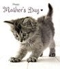 Talk To The Paw Cat Mother's Day Card