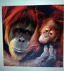 Orangutan And Baby Animates 3D Holographic Open And Blank Card