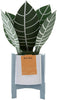 Contemporary Zebra Plant Design Pop Up Card