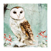 Gallery "Owl" Blank Card