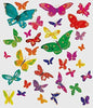 Multicoloured Butterfly Card