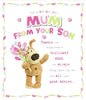 Wonderful Mum From Son Boofle With Flowers Design Mother's Day Card