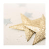 Blank Christmas Card 'Gold Star'