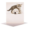 Hallmark RSPCA Blank Card "Kittens and Puppies"