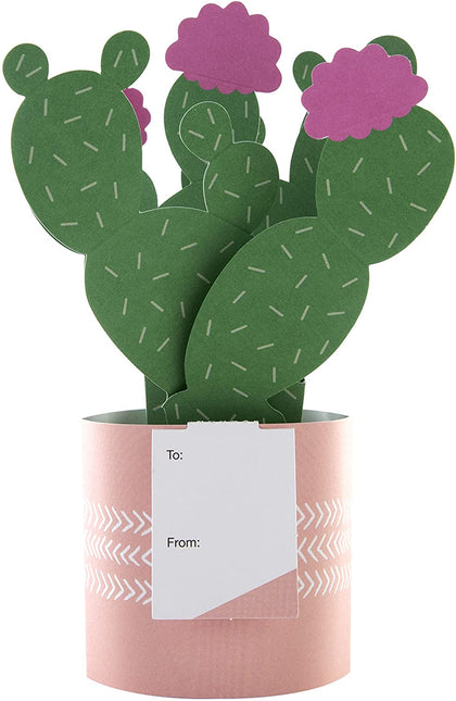 Contemporary Cactus Design Pop Up Card