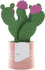 Contemporary Cactus Design Pop Up Card