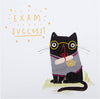 Cute Illustrated Cat Design Exam Success Congratulations Card