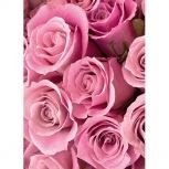 Pink Roses 3D Holographic Open And Balnk Card