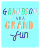 Grandson Grand Fun Birthday Card