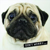 Worried Pug Lenticular 3D Design Open And Blank Card