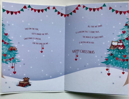 For Girlfriend Lovely Owl Couple Design Christmas Card