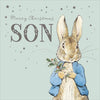 For Son Peter Rabbit Merry Christmas Card